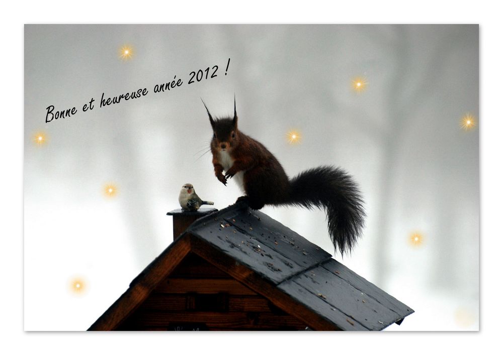 Bonne année !