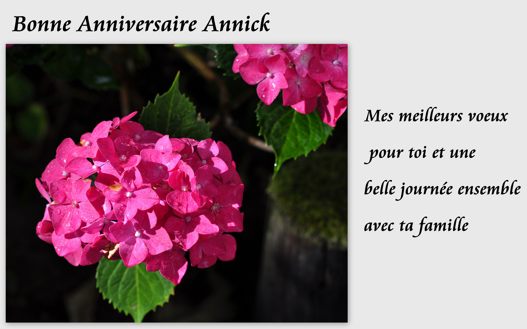 Bonne Anniversaire Annick Foto Bild Gratulation Und Feiertage Geburtstag Gluckwunsche Karten Bilder Auf Fotocommunity