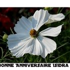 Bonne anniversaire Isidra