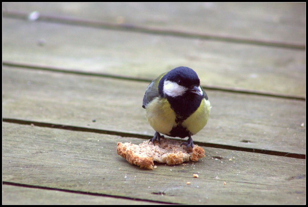 Bonne appétit