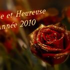 BONNE ET HEUREUSE ANNEE 2010