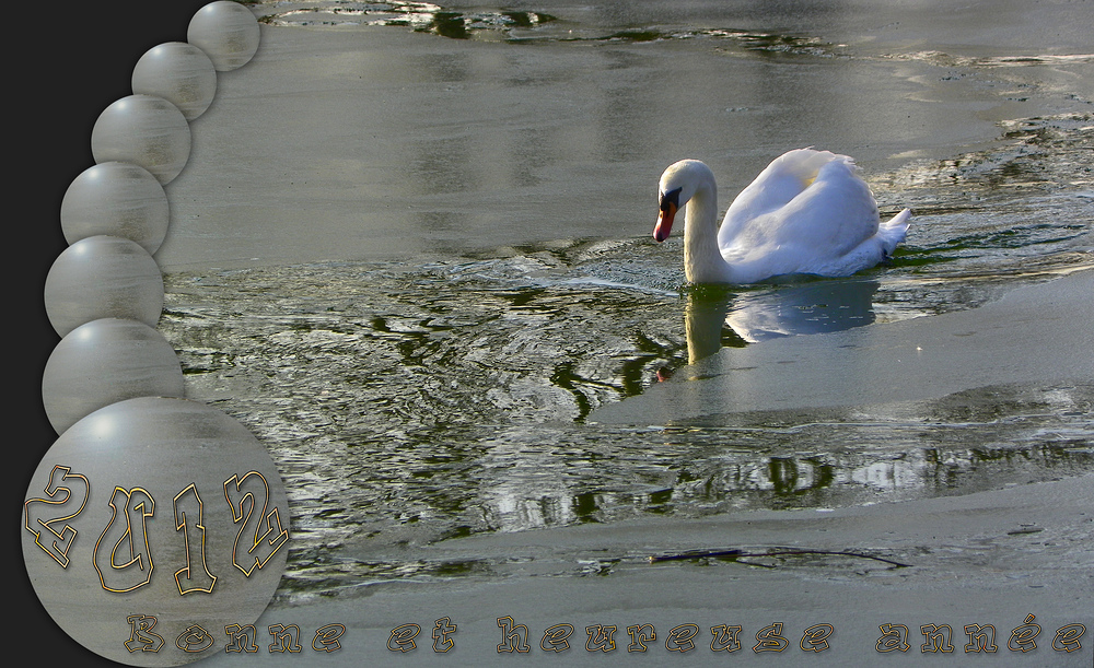 Bonne et heureuse année 2012 .