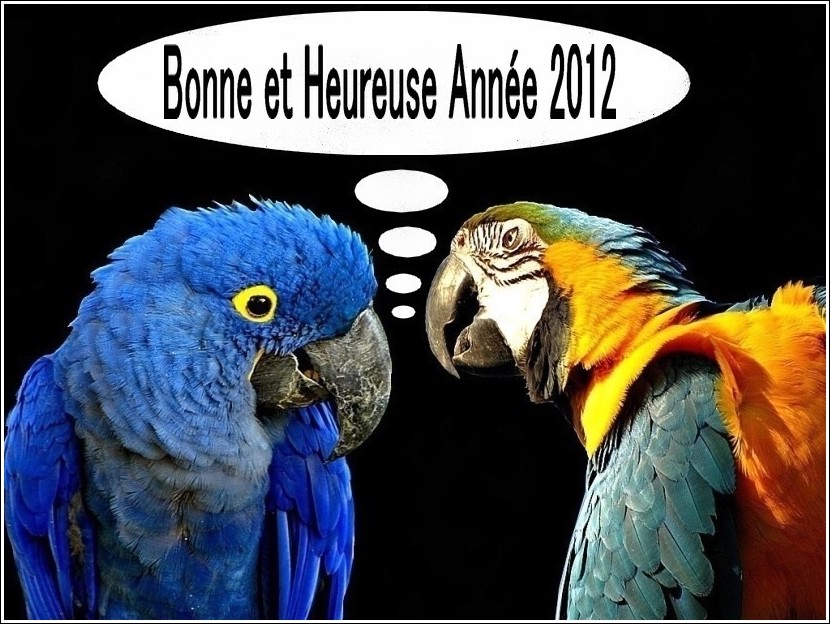 Bonne et heureuse année 2012 à tous les membres de F.C.