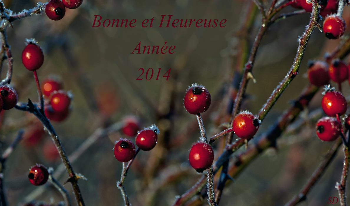 Bonne et heureuse Année 2014 pour toutes et tous .