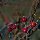 Bonne et heureuse Année 2014 pour toutes et tous .