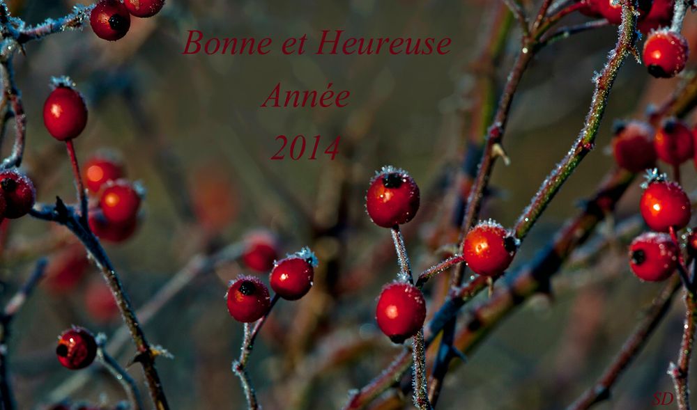 Bonne et heureuse Année 2014 pour toutes et tous .