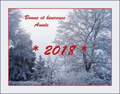 Bonne et Heureuse Année 2018