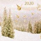 Bonne et heureuse Année 2020
