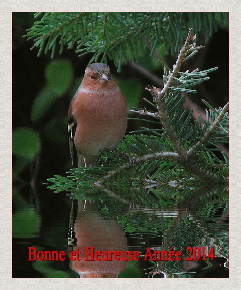 " Bonne et heureuse année à tous "