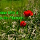 Bonne fête à toutes les Mamans