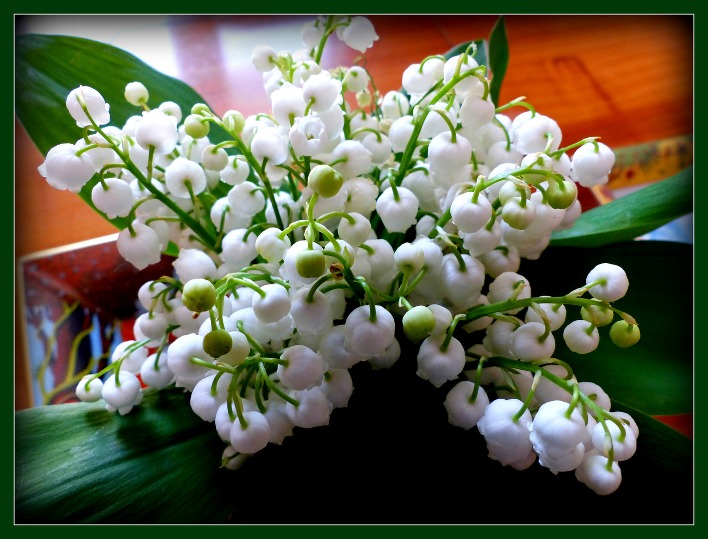 BONNE - FÊTE - de 1 er MAI à TOUTES et TOUS . 