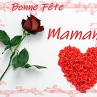 Bonne Fête Mamans ....