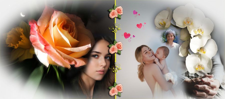 Bonne fête Mesdames