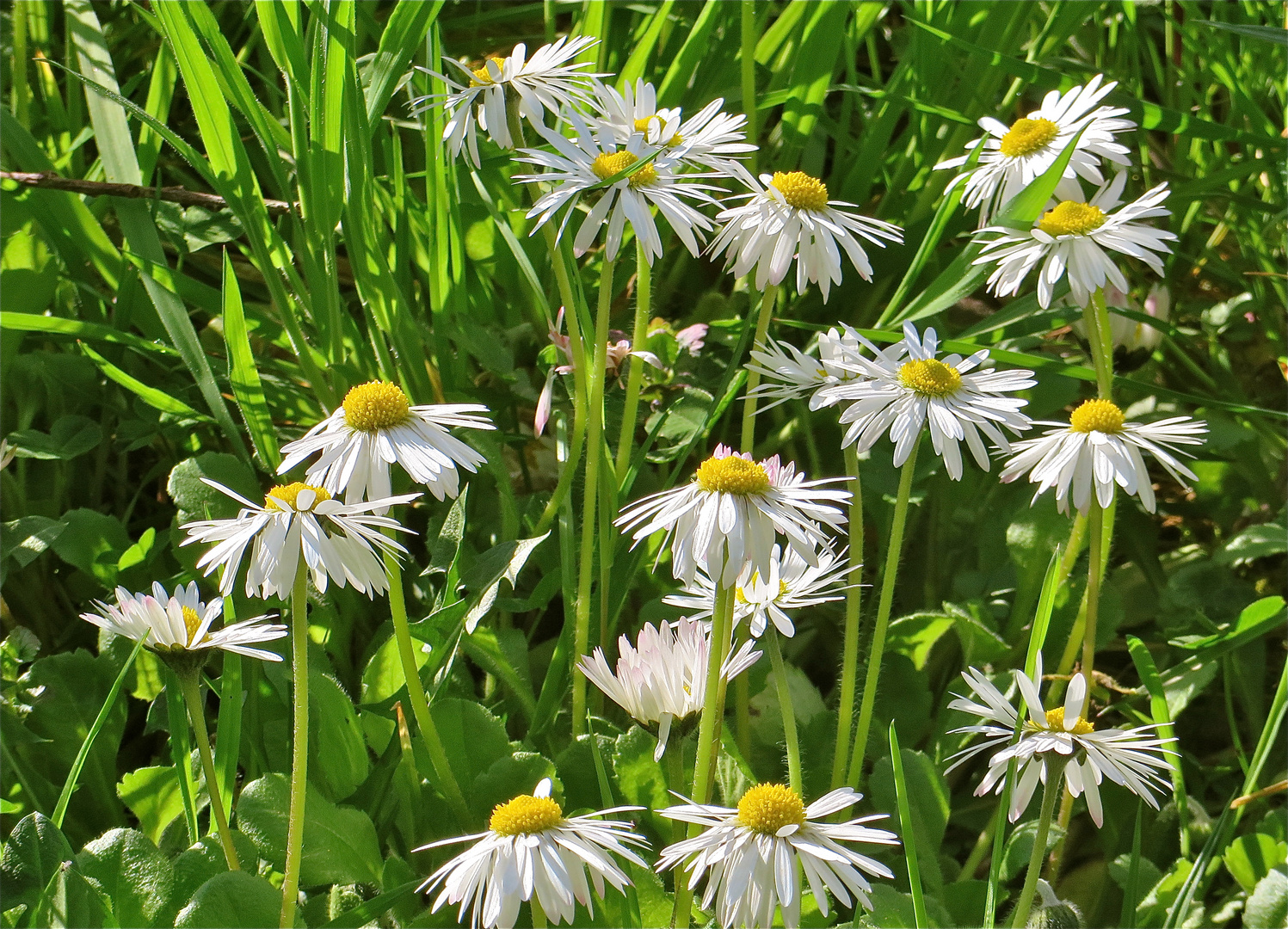 ... bonne journée à tous !!!...