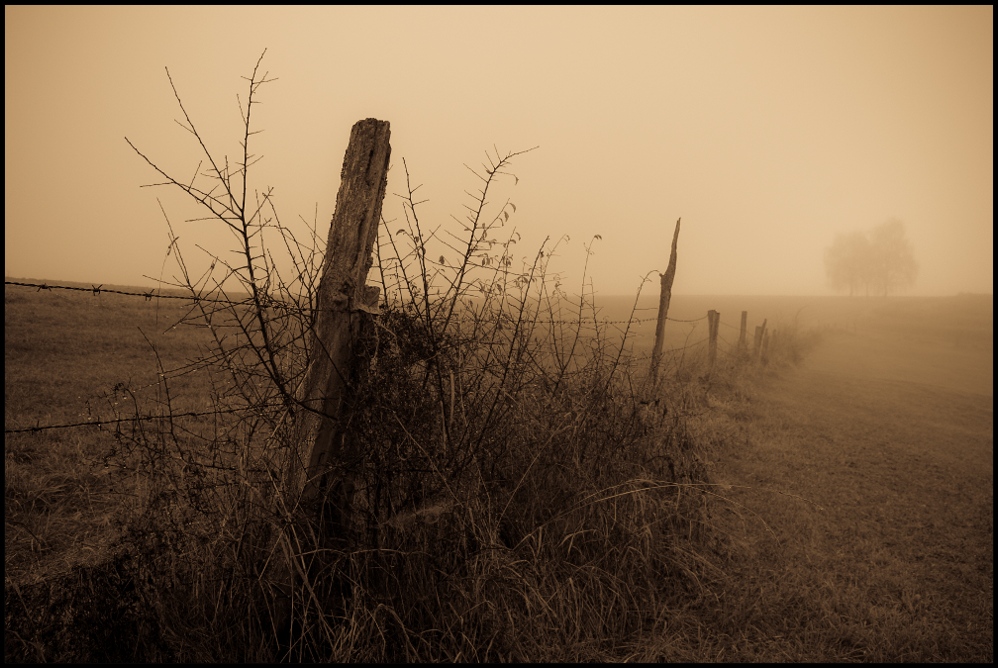 bonne journée tristesse