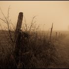 bonne journée tristesse