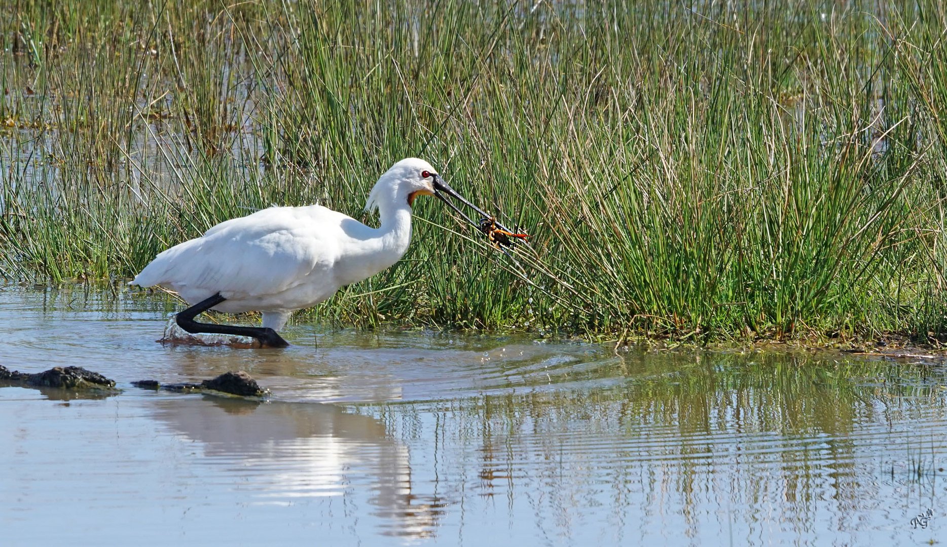 Bonne pêche !!!