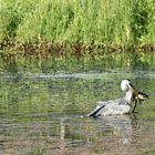 bonne pêche !