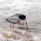 Bonne pêche !