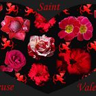 Bonne Saint-Valentin -- Schönen Valentinstag