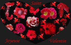 Bonne Saint-Valentin -- Schönen Valentinstag