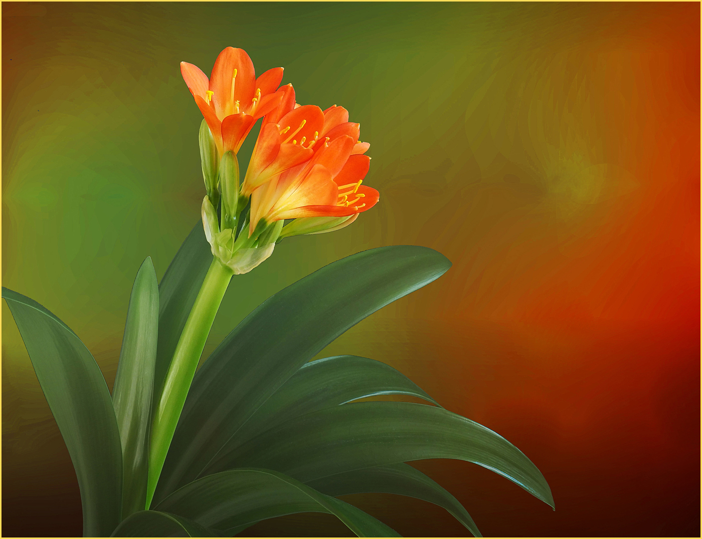 Bonne Semaine A Tous Photo Et Image Cartes De Voeux Fleurs Natur Images Fotocommunity Bonne Semaine A Tous Photo Et Image Cartes De Voeux Fleurs Natur Images Fotocommunity
