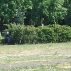 Bonne soeur s'occupant du jardin