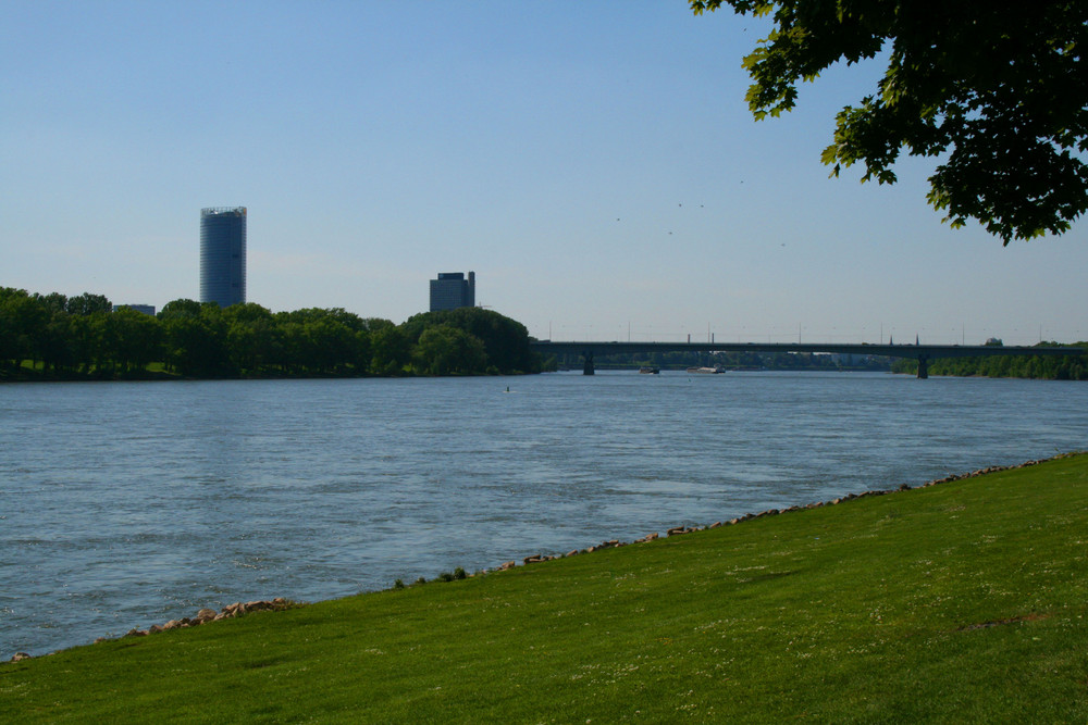 Bonner Blick über den Rhein