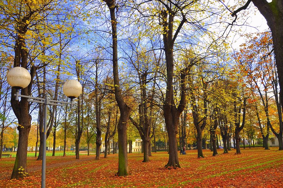 Bonner Hofgarten in Herbststimmung