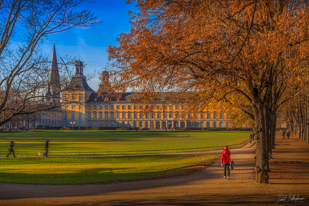 Bonner Hofgartenwiese & Universität im Herbst