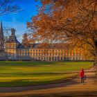 Bonner Hofgartenwiese & Universität im Herbst