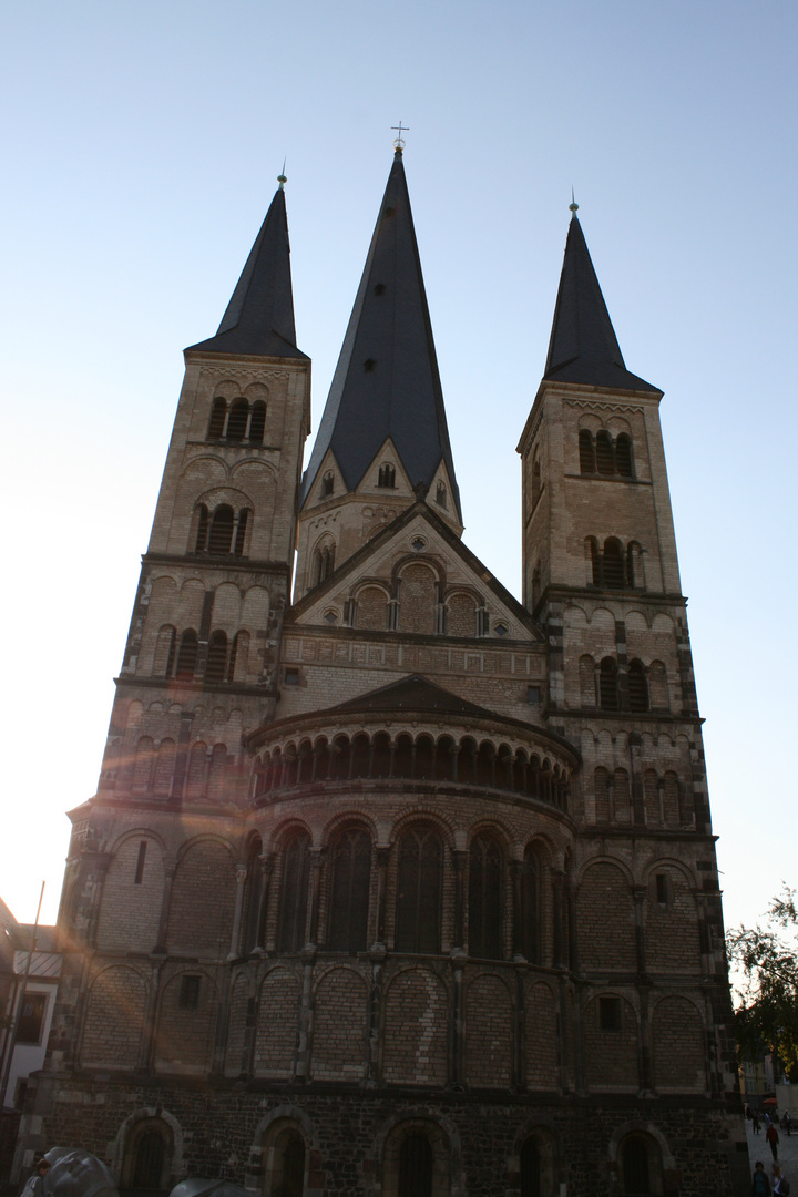 Bonner Münster 2