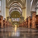 Bonner Münster ....