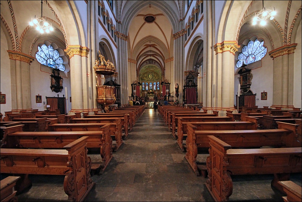 Bonner Münster (I)