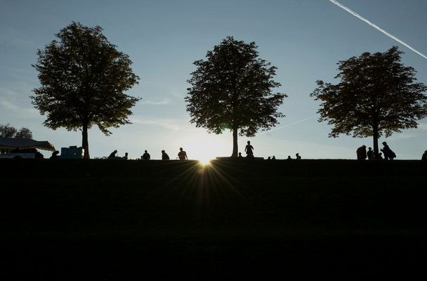 Bonner Rheinaue im Abendlicht