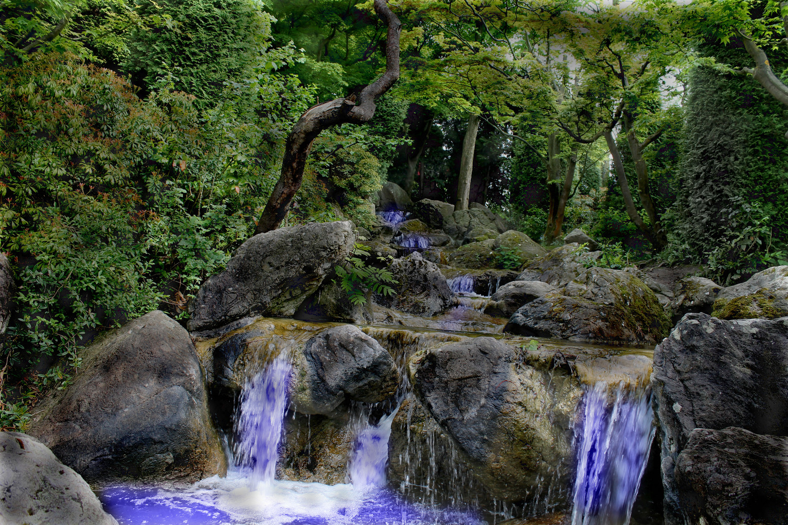 Bonner Rheinaue,ein Wasserlauf im Japanischen Garten