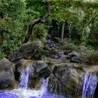 Bonner Rheinaue,ein Wasserlauf im Japanischen Garten