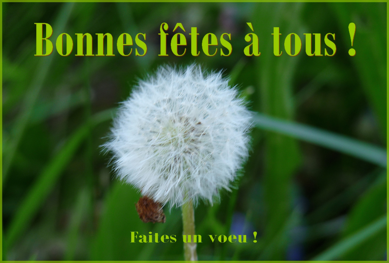 Bonnes fêtes