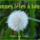 Bonnes fêtes