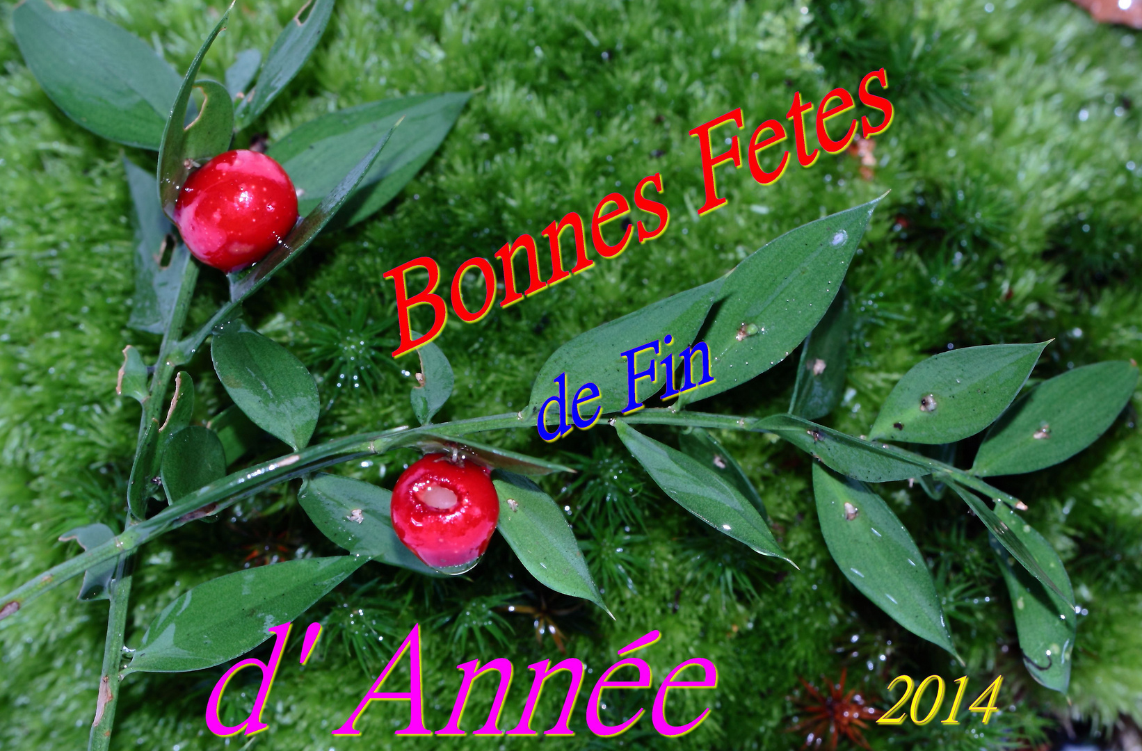 Bonnes Fêtes de Fin d'Année 2014