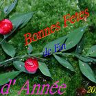 Bonnes Fêtes de Fin d'Année 2014