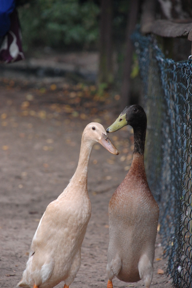 Bonnie und Clyde...