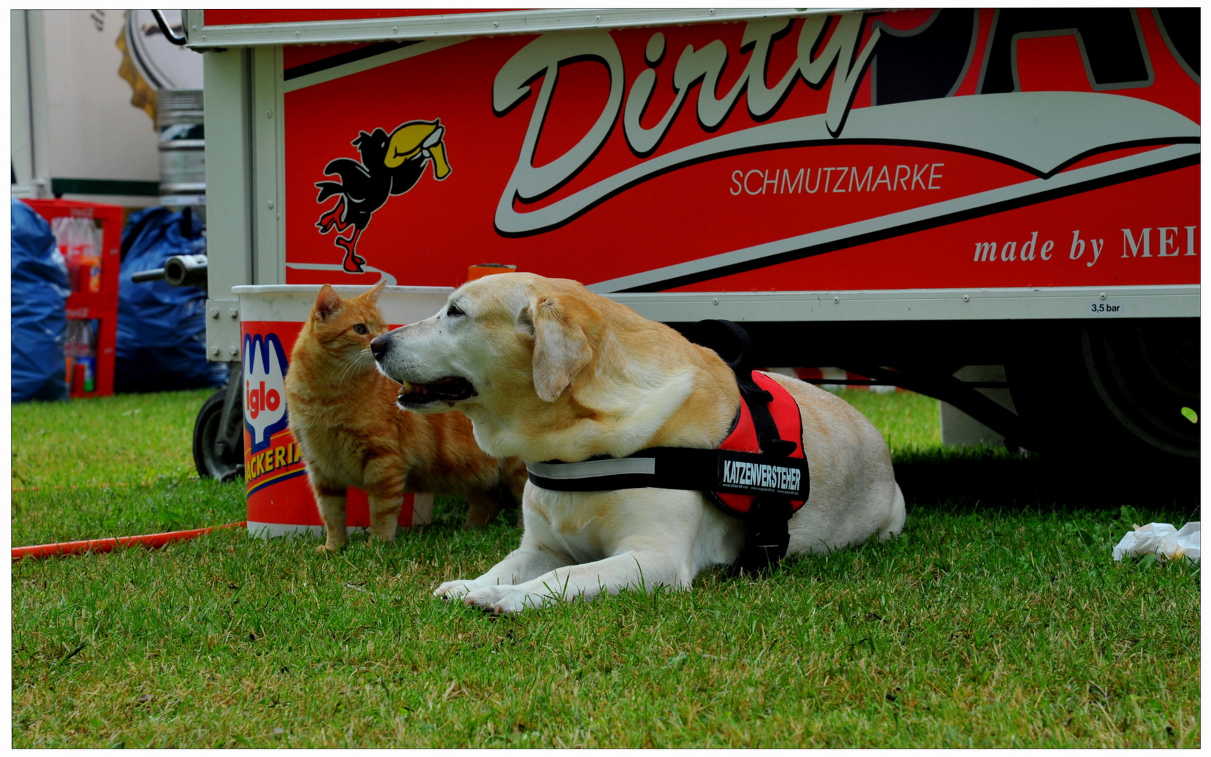 Bonnie und Fuchsie beim Sportfest (Bonnie y Zorrito están visitando el festival deportivo)