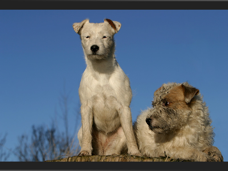 Bonny & Clyde