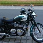 Bonny T100