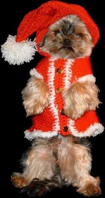 Bonny wünscht Frohe Weihnachten