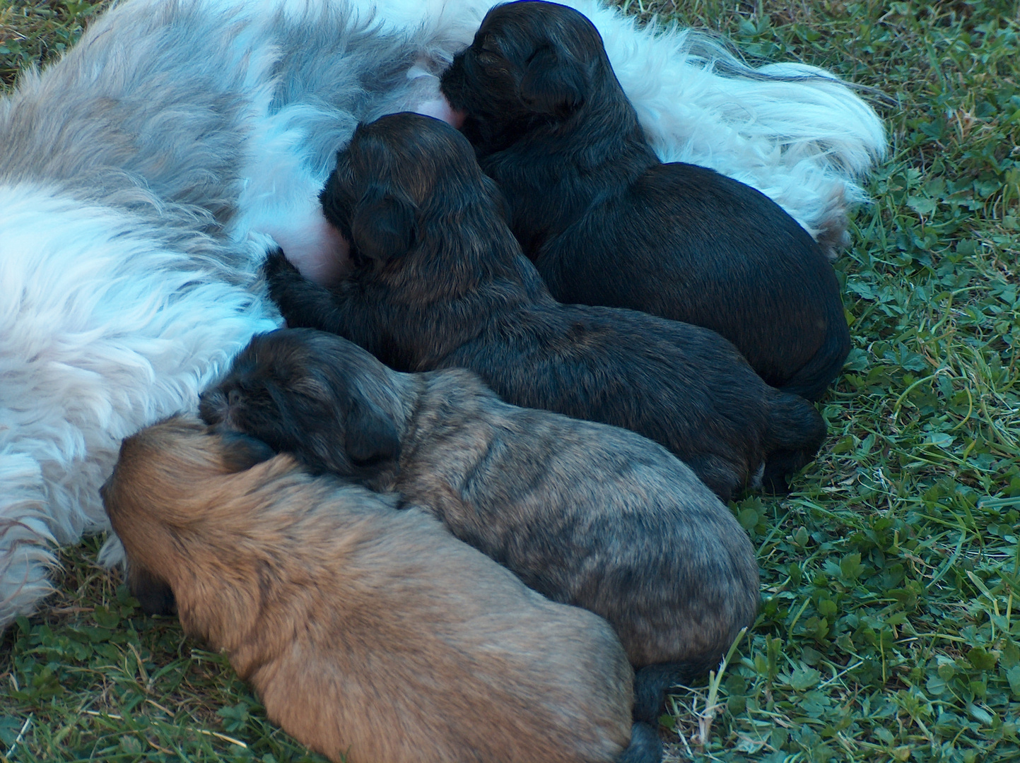 Bonnys Babys, vor 2 Jahren :-)