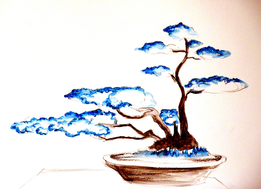 bonsai