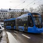 "Bonsai" im Bogen