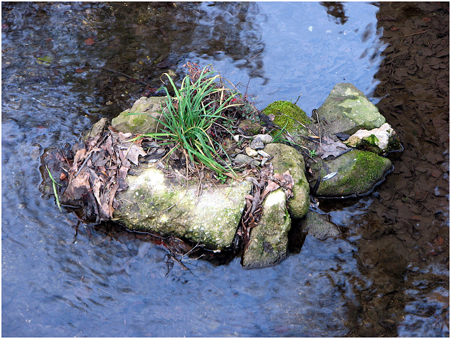 Bonsai-Insel